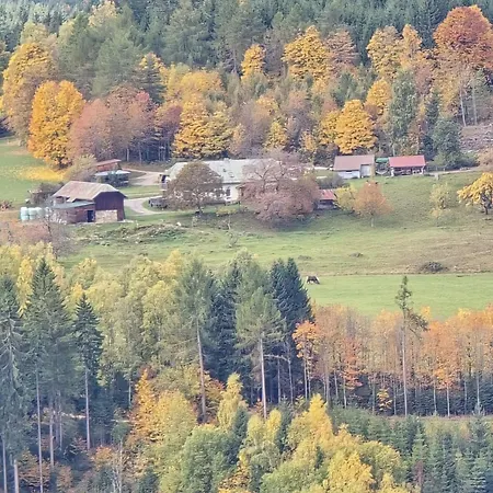 Landhof Steinhuette Séjour à la campagne